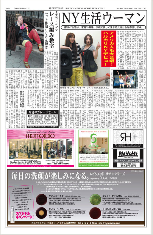 Artist Profile Lisa Daehlin in Seikatsu NY Newspaper